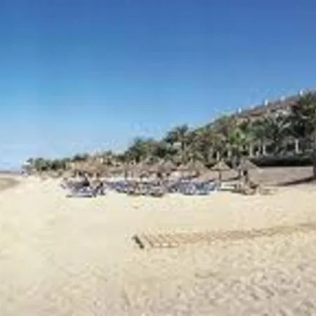 Apto Vulcano *